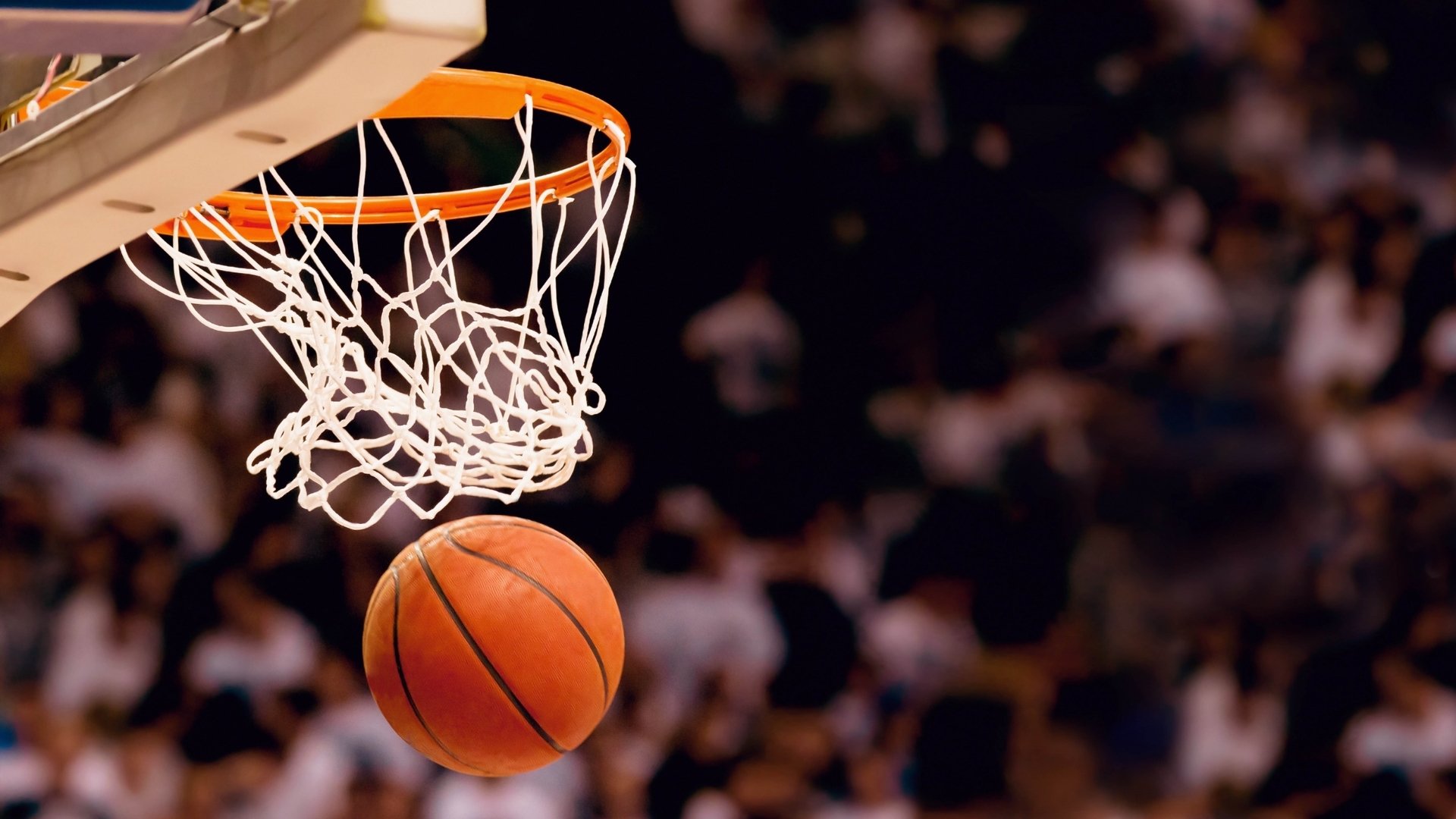 开云体育视频直播-绝境反杀与极限救赎，波兰铁骑碾碎太极虎，林高远用一块纪录碎片照亮国乒暗夜